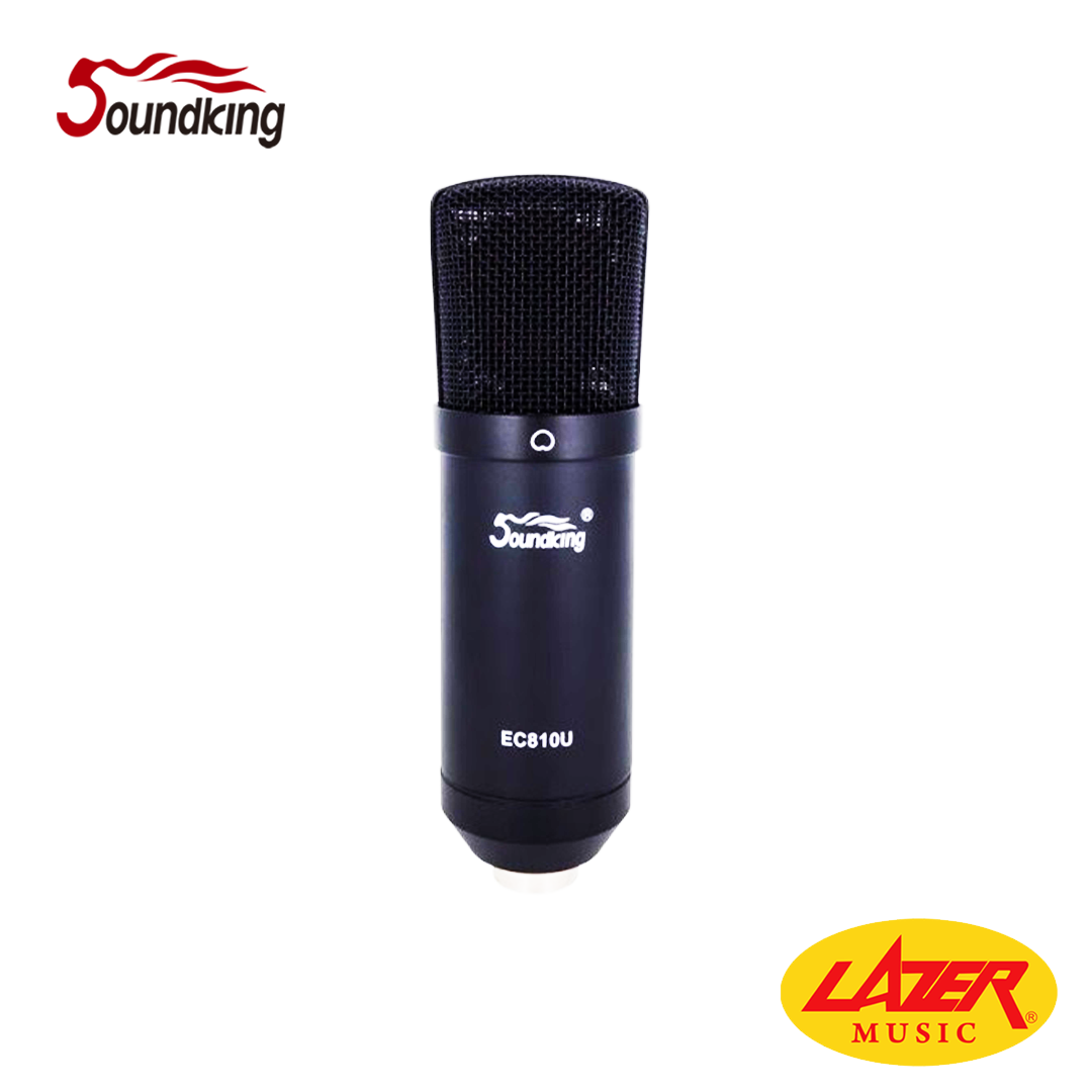 Soundking EC810U USB Condenser Microphone